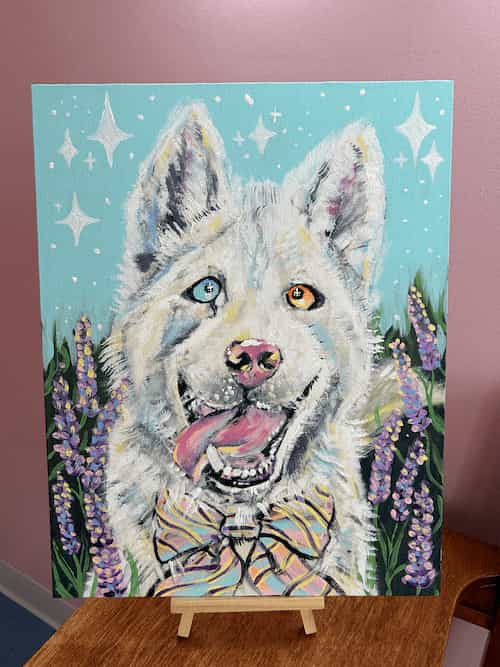 "Kiki" - Husky Mix