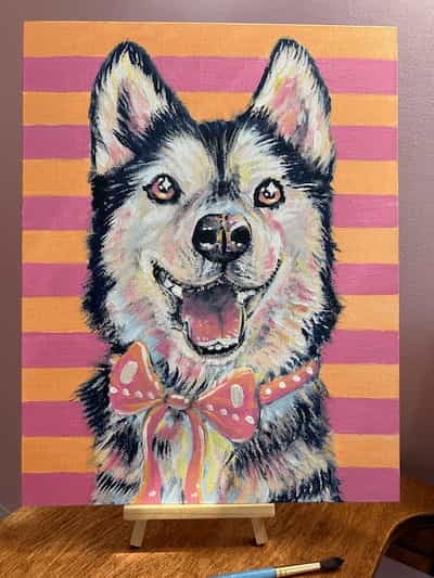"Zara" - Husky