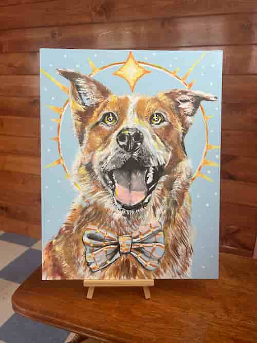 "Bud" - Heeler Mix