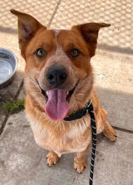 He was adopted!