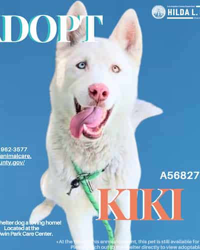 She was adopted!