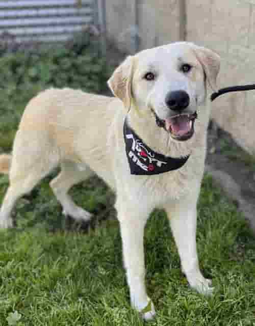 He was adopted!