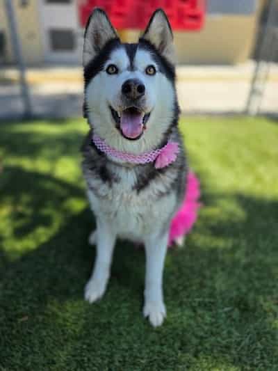 She was adopted!